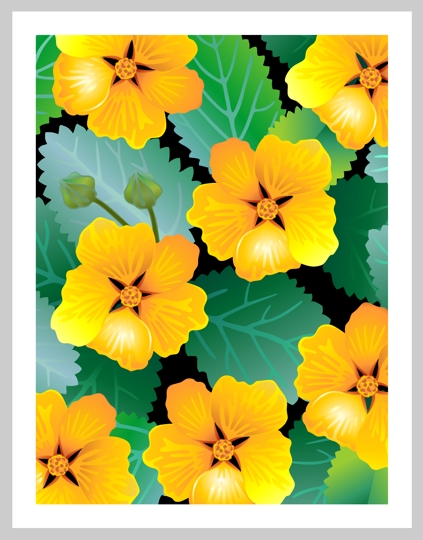 Hawaiian Ilima note card, yellow ilima, indigenous Hawaiian plant ...